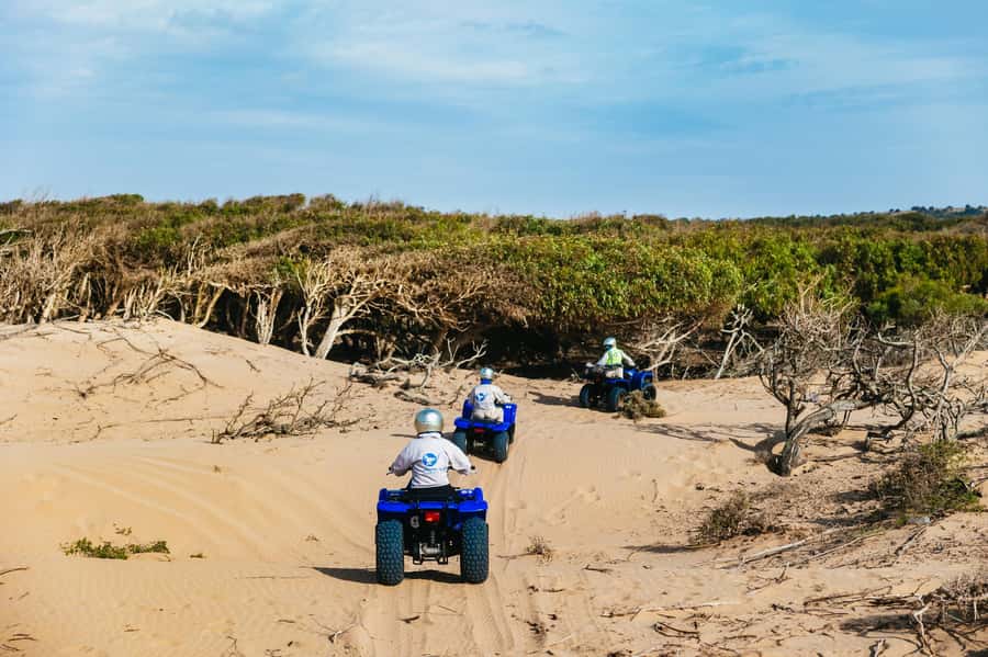 Essaouira Sand Dunes: Half Day Quad Bike Tour - Riding the 125cc quad: what you should know before you go