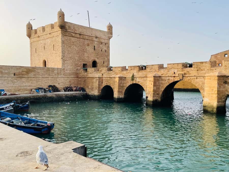 Essaouira: Sqala du Port, Citadel, Fish Market & Medina Tour - Should You Book This Essaouira Tour?