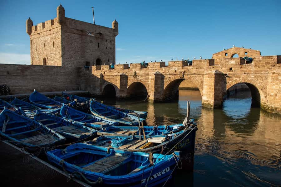 Essaouira: Sqala du Port, Medina Ramparts & Fish Market Tour - Who should book this tour, and who should skip it