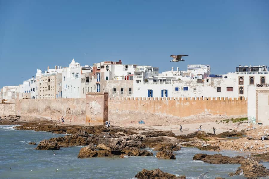 Essaouira: Sqala du Port, Medina Ramparts & Fish Market Tour - Skala du Port, cannons first, ocean second