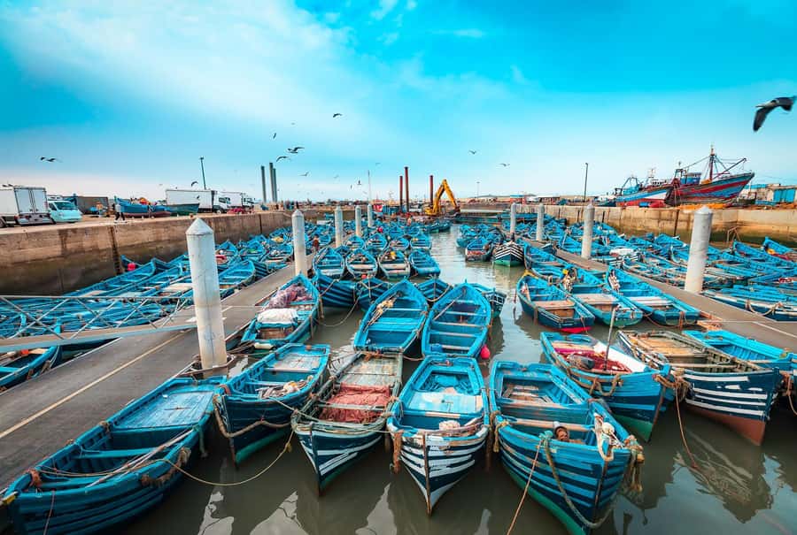 Essaouira: Surf Trip from Marrakech - Key Things That Make This Essaouira Surf Day Work