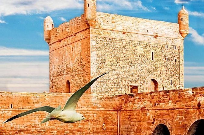 Essaouira Tour from Marrakech shared small-group - The port and sea breeze: where the day gets real
