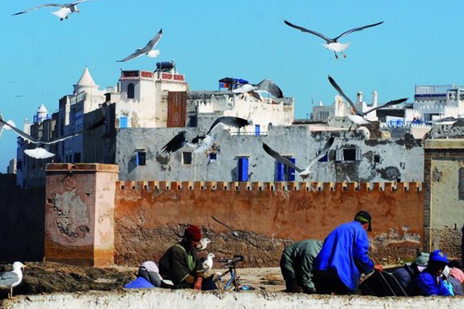 Essaouira Tour from Marrakech shared small-group - The argan oil stop: what you learn, and what you’ll spot outside town