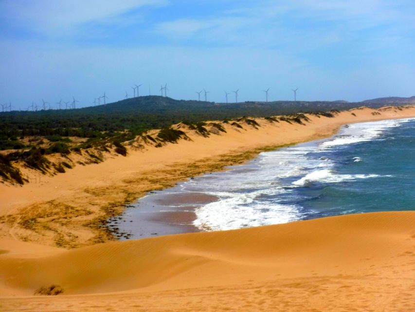 Essaouria: Beach & Big Dunes 2-Hour Quad Biking Tour - Viewpoint photo stop and guided moments that keep it from feeling random