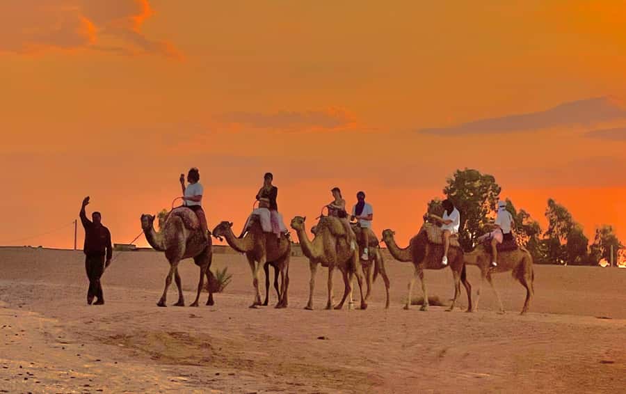 Evening Marrakech: Agafay Desert Quad , Camel & Dinner Shows - Who This Tour Fits Best (And Who Might Be Happier Elsewhere)