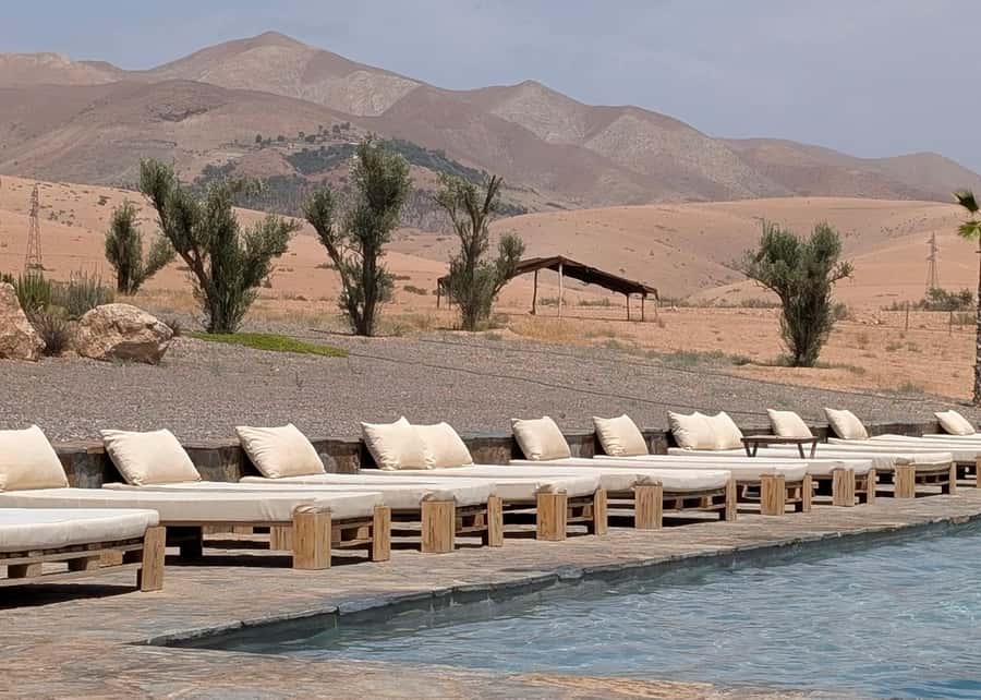 Evening Marrakech: Agafay Desert Quad , Camel & Dinner Shows - Quad Biking in Agafay: Beginner-Friendly, Then Hands-On