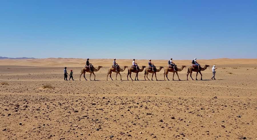 Evening Marrakech: Agafay Desert Quad , Camel & Dinner Shows - Campfire Music and Fire Show: A Fun Ending Under the Stars