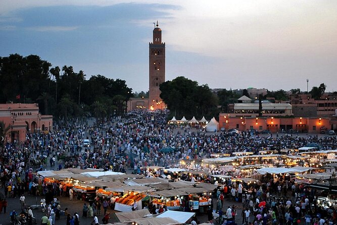 "Exclusive Departures: Marrakesh Hotels to Menara Airport" - Comfort and Courtesy: What the Driver Experience Feels Like