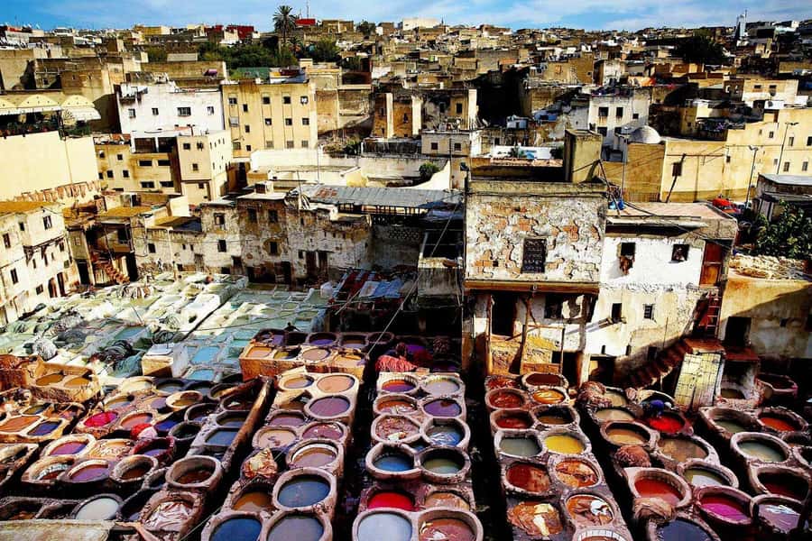 Exclusive Fez Medina Walking Tour with a local Guide - Attarin Market, Souk Sebaghine, and the route for seeing color and trade up close