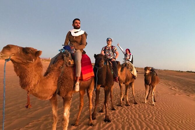 Exclusive Merzouga Desert Safari: Camel Ride, Sandsurf & Dinner - Key things to know before you go