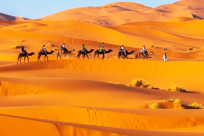 Exclusive Merzouga Desert Safari: Camel Ride, Sandsurf & Dinner - Dinner and breakfast at a traditional desert camp