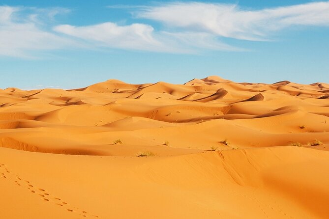 Exclusive Merzouga Desert Safari: Camel Ride, Sandsurf & Dinner - Sunrise return: ending with light, not exhaustion