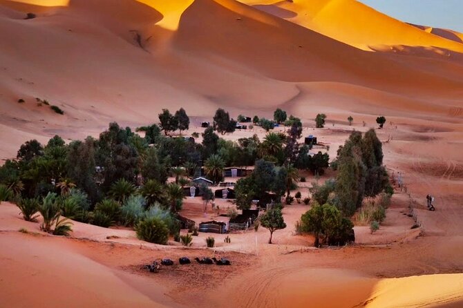 Exclusive Merzouga Desert Safari: Camel Ride, Sandsurf & Dinner - Price and value: what $43.15 buys you here