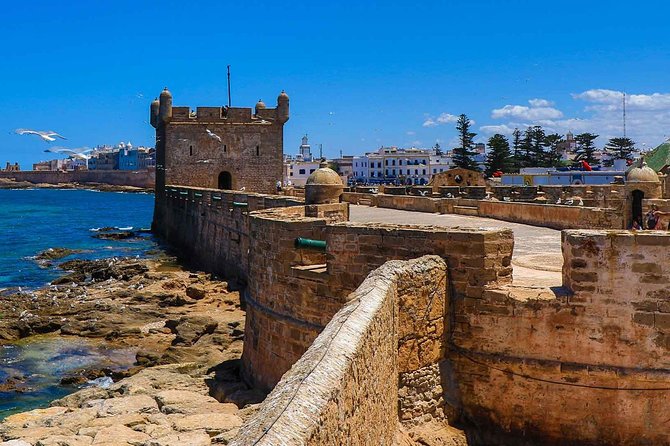 Excursion Essaouira from Marrakech - Morning Drive Through Argan Country: Expect Scenic Stops, Not a Lecture
