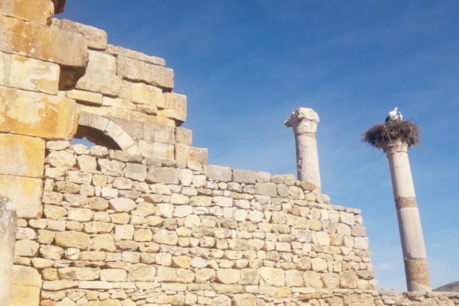 Excursion Meknes Volubilis - Price and value: is $58.16 a fair deal for a full day?