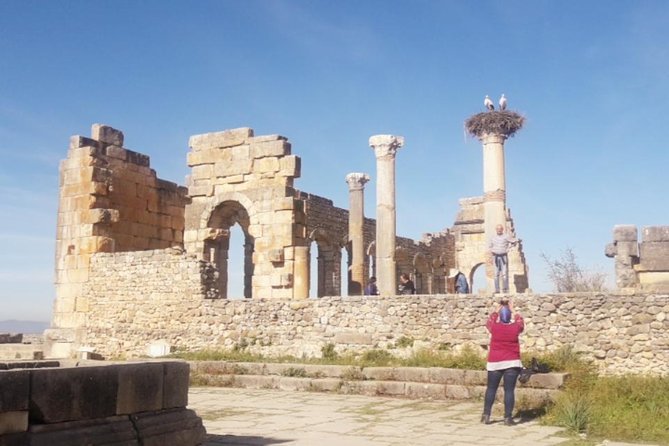 Excursion Meknes Volubilis - Private group format: why it feels different than a shared day bus