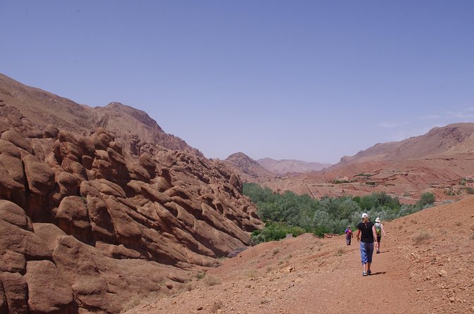 Excursion to Gorge Dades and Canyon Fingers of Monkey Morocco - The Valley of the Roses stop, why it helps the whole story