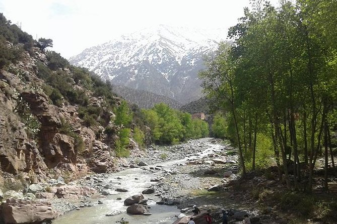 Excursion to the valley of ourika atlas mountain and berber villages - A High Atlas Day Trip from Marrakech, Starting at 9:00