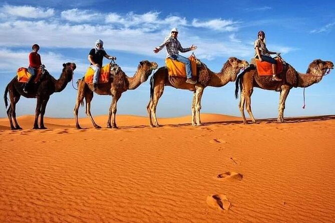 Excursions Quad Riding in Merzouga - Key Highlights You’ll Actually Feel