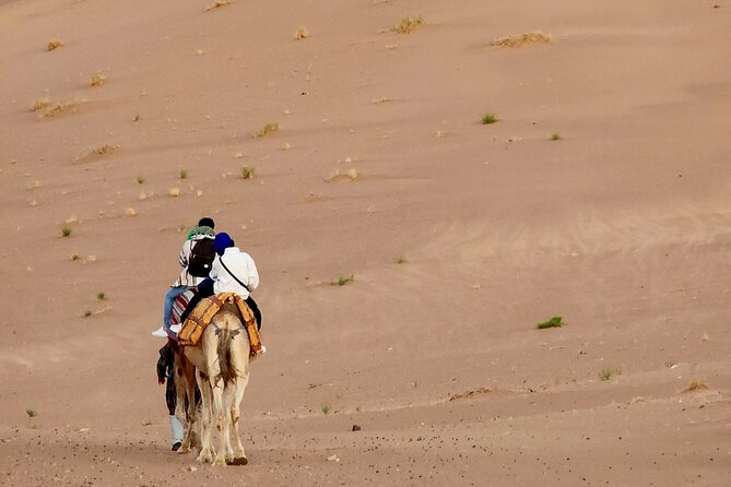 Experience Luxury in Zagora: 2-Day Desert Adventure - Day 1: Tizi n Tichka for big views, then Ait Ben Haddou for the kasbah feel