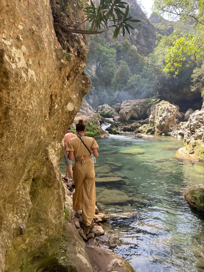explore Akchour like a local - Wildlife chance in Akchour: macaques, and why you should keep expectations loose