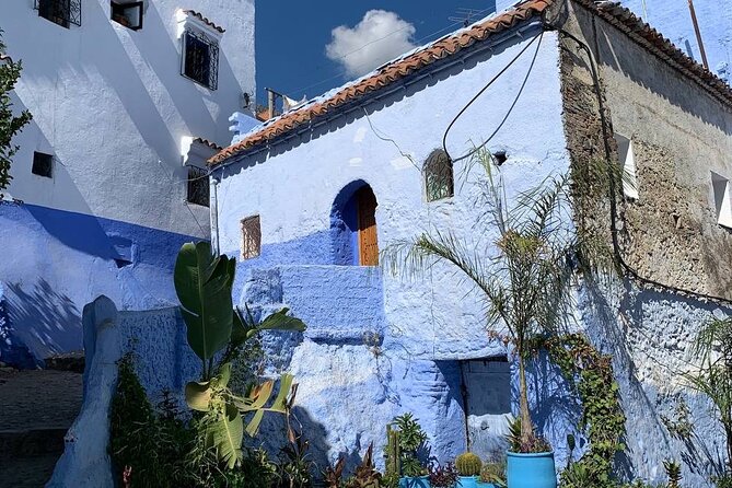 Explore chefchaouen like a local - Kasbah Museum stop: history if you want it, time if you don’t