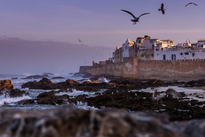 Explore Essaouira on a Day Trip from Marrakech - The argan oil factory stop, souvenirs with a story