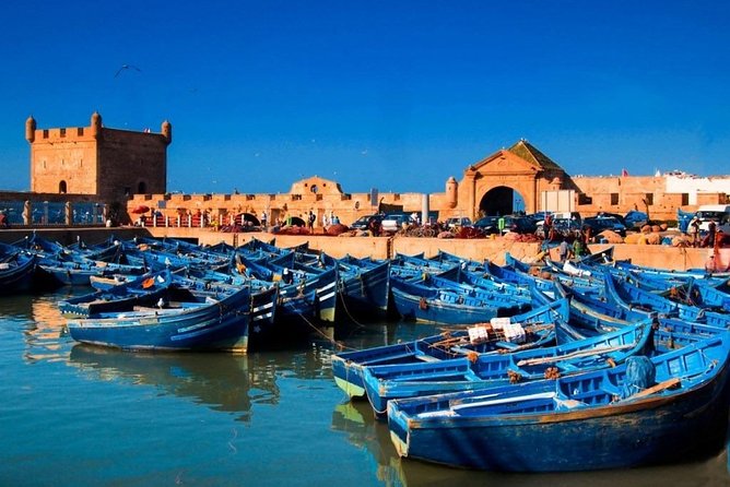 Explore Essaouira on a Day Trip from Marrakech - Fish market and seafood lunch planning