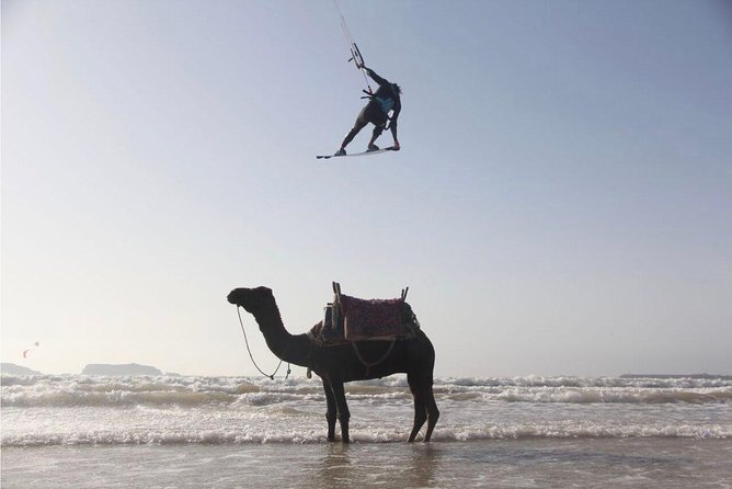 Explore Essaouira on a Day Trip from Marrakech - Guides, languages, and what guided actually means here
