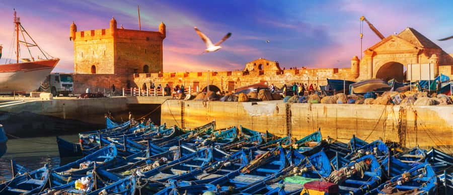 Explore Essaouira's Secrets: A Guided Tour with a Local! - Key things you should notice before you go