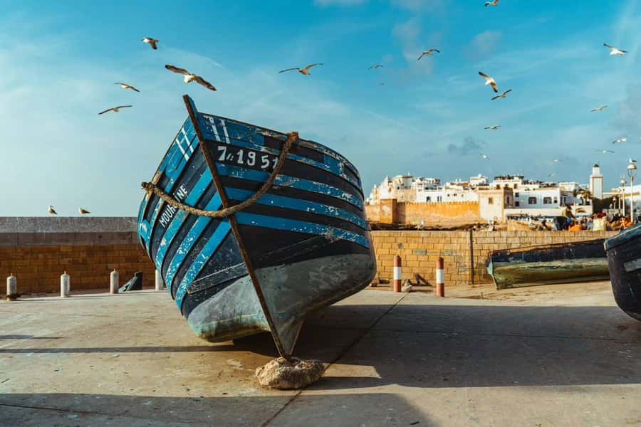 Explore Essaouira's Secrets: A Guided Tour with a Local! - Skala du Port d’Essaouira and the fortress-harbor vibe