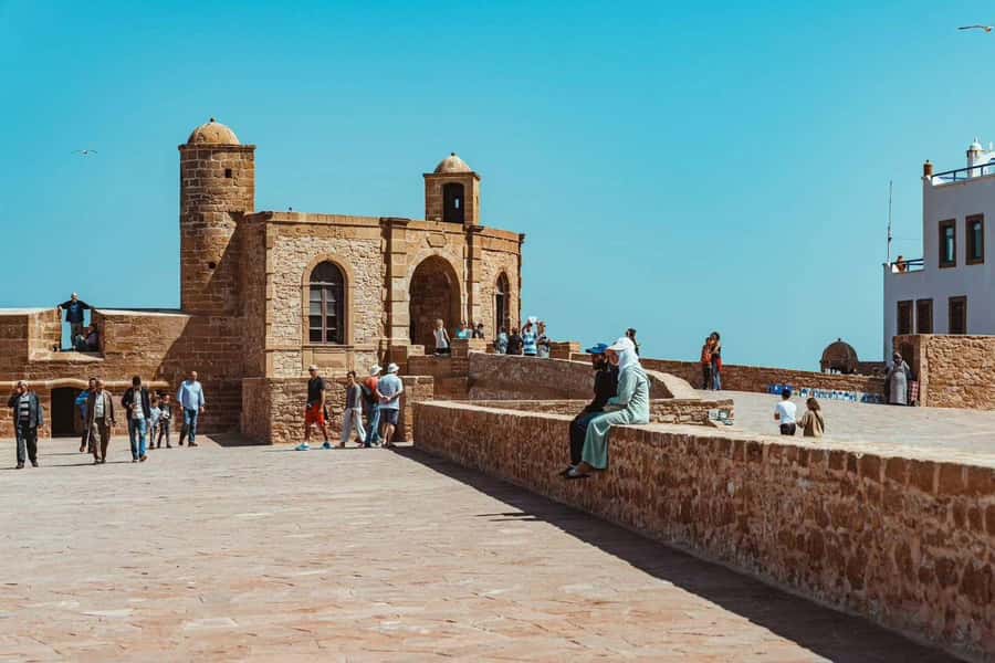 Explore Essaouira's Secrets: A Guided Tour with a Local! - Fish market viewing and a seafood lunch you can actually taste
