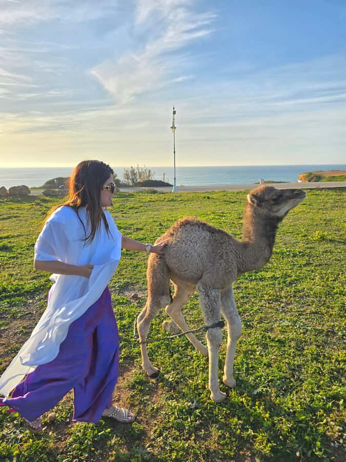 Explore Tangier: Cap Spartel, Cave, & Camel Ride Adventure - Achakar, camel ride on the beach, and sunset timing