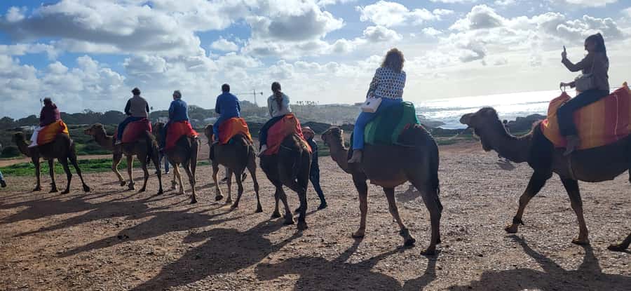 Explore Tangier: Cap Spartel, Cave, & Camel Ride Adventure - How the 3-hour flow actually feels in real time