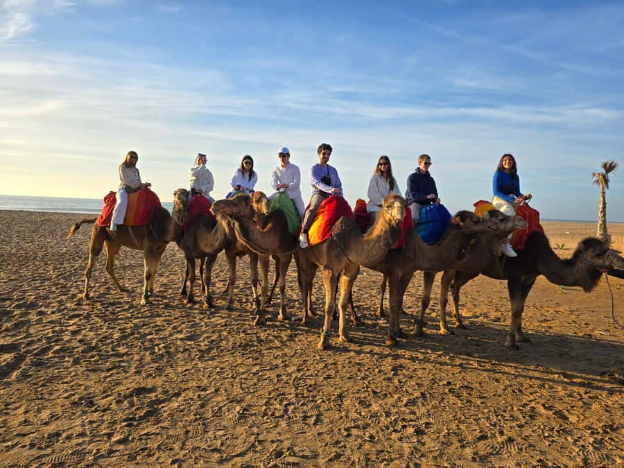 Explore Tangier: Cap Spartel, Cave, & Camel Ride Adventure - Guides and drivers: why the human factor matters here