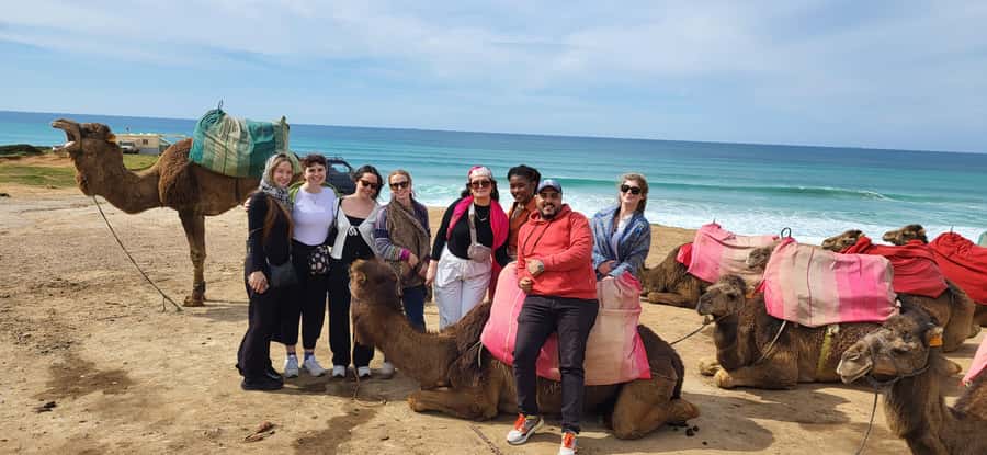 Explore Tangier: Cap Spartel, Cave, & Camel Ride Adventure - Who this Tangier tour is best for
