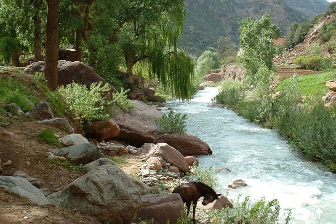 Explore The Best Of Ourika Valley: Departure From Marrakech. - Who this Ourika Valley trip suits best