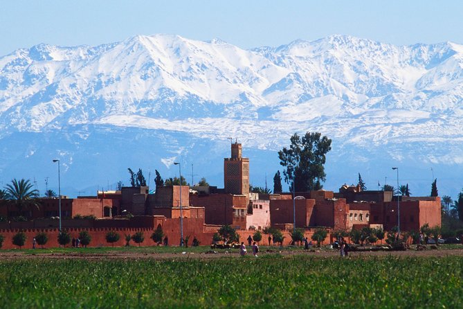Exploring Marrakesh in half-day sightseeing tour - Menara Gardens and Pavilion: Free, Restorative, and Heat-Friendly