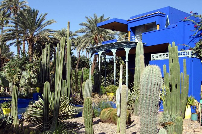 Exploring Marrakesh in half-day sightseeing tour - The Walled Medina Moment and Jemaa el-Fna Square Time