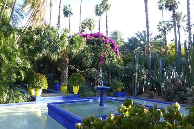 Exploring Marrakesh in half-day sightseeing tour - Guéliz and a Modern Marrakech Stop (Plus What That Means for Your Day)