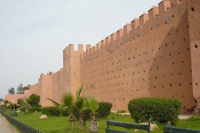 Exploring Marrakesh in half-day sightseeing tour - Jardin Majorelle: Color, Layout, and the One-Rule You Must Follow