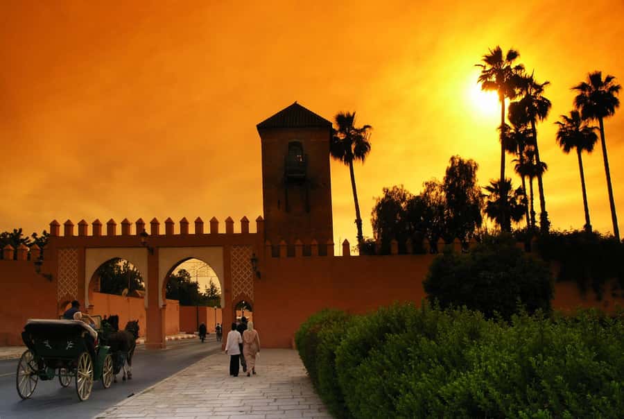 Fantasia 1001 Nights: Dinner + Show from Marrakech - Palm-Grove Arrival and the Caïdales Tent Setup