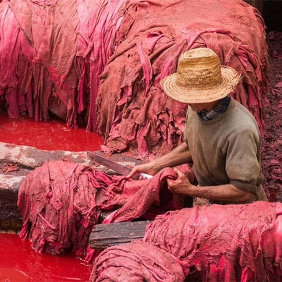 Fes: A Guided Walking Tour Through the Historic Medina - Chouara Tannery: Leather-Making Craft, Not Just a Photo Stop
