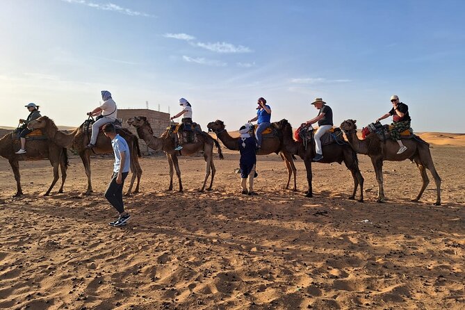 Fes desert tours 2 days - Day 2 sunrise camel ride over Erg Chebbi dunes