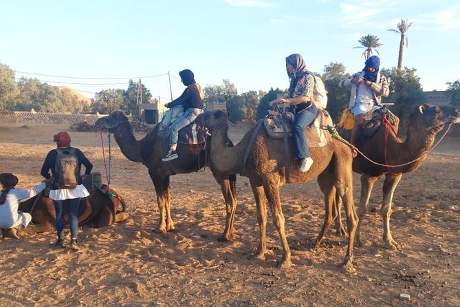 Fes desert tours 2 days - Price and value: is $234.75 per person a fair deal?