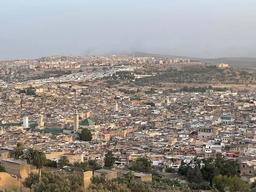 Fes: Medina Guided Tour with Local - Timing, pace, and what to bring for a smooth walk