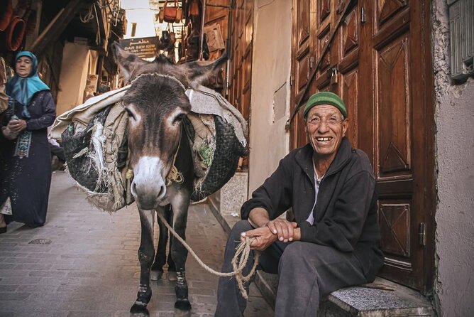 Fes Medina Walking Tour - Key highlights at a glance