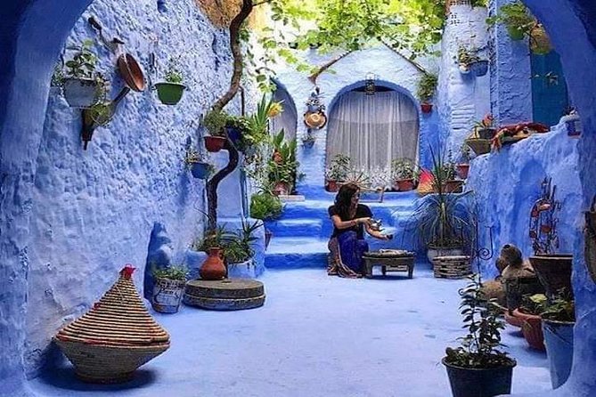 FES TO Chefchaouen Day Trip- luxury Private Tour - Price and Value: What $122.69 Per Person Really Buys