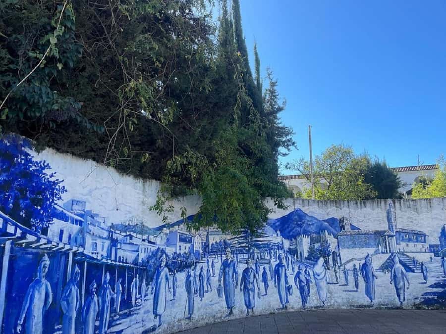 Fes to Chefchaouen Day Trip multi languages(EN/FR/ES/IT/AR) - Wheelchair accessibility, and who this tour suits best