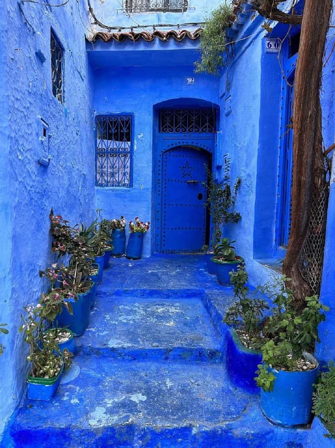Fes to Chefchaouen Day Trip multi languages(EN/FR/ES/IT/AR) - Why Chefchaouen fits a one-day visit